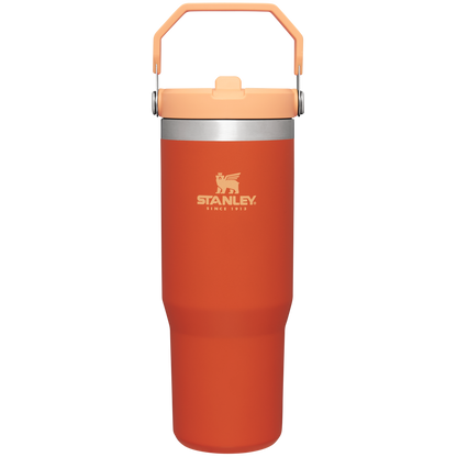 The IceFlow™ Flip Straw Tumbler