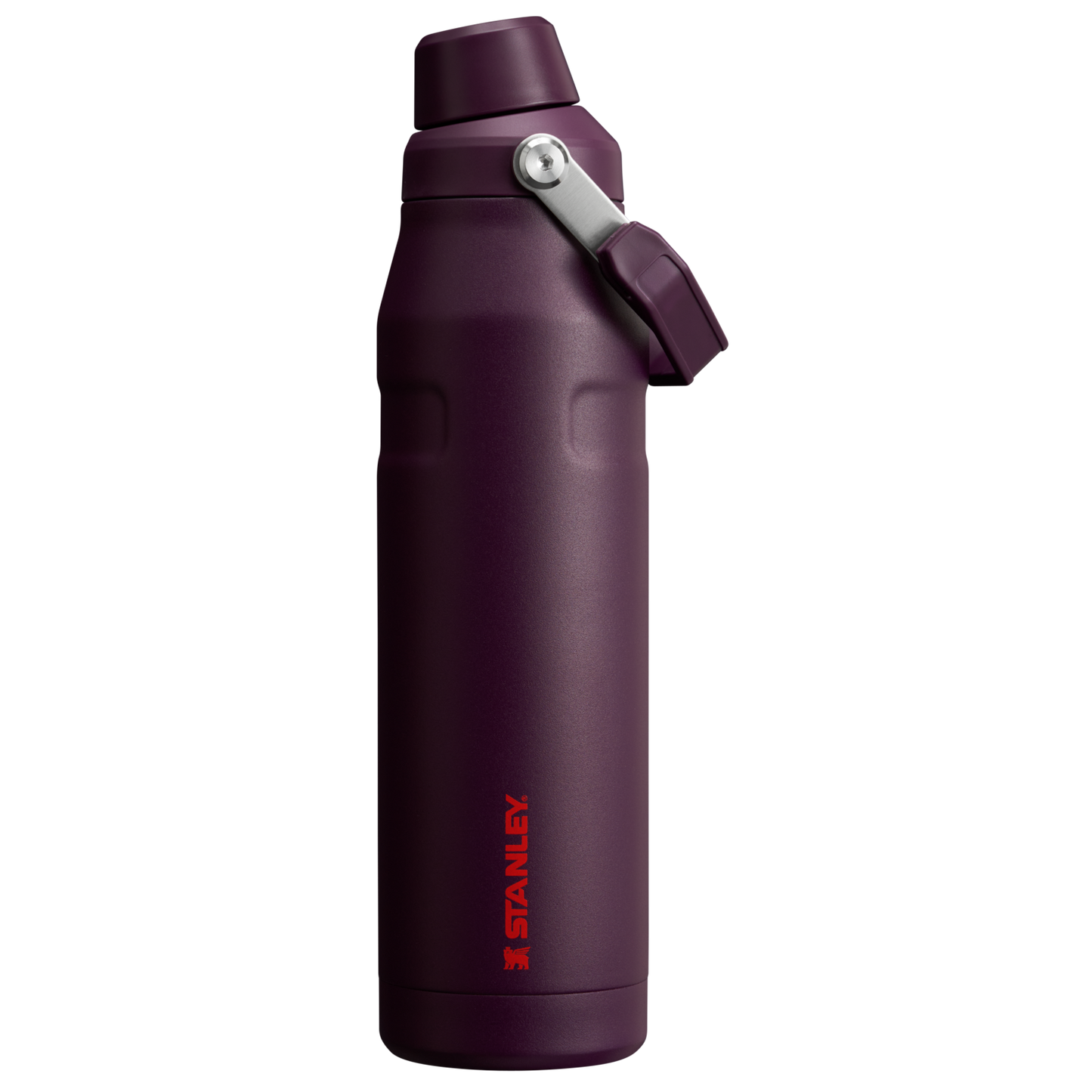 IceFlow™ Bottle with Fast Flow Lid