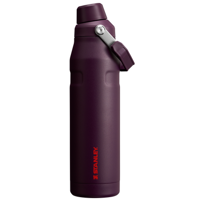 IceFlow™ Bottle with Fast Flow Lid