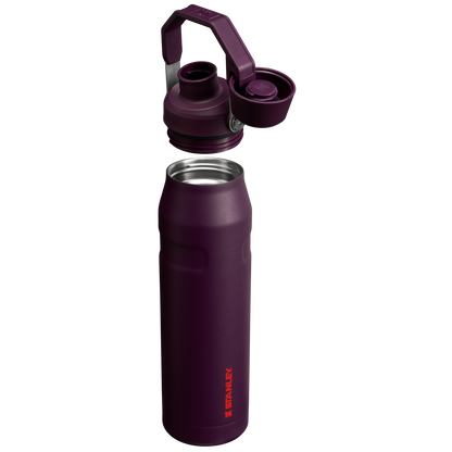 IceFlow™ Bottle with Fast Flow Lid