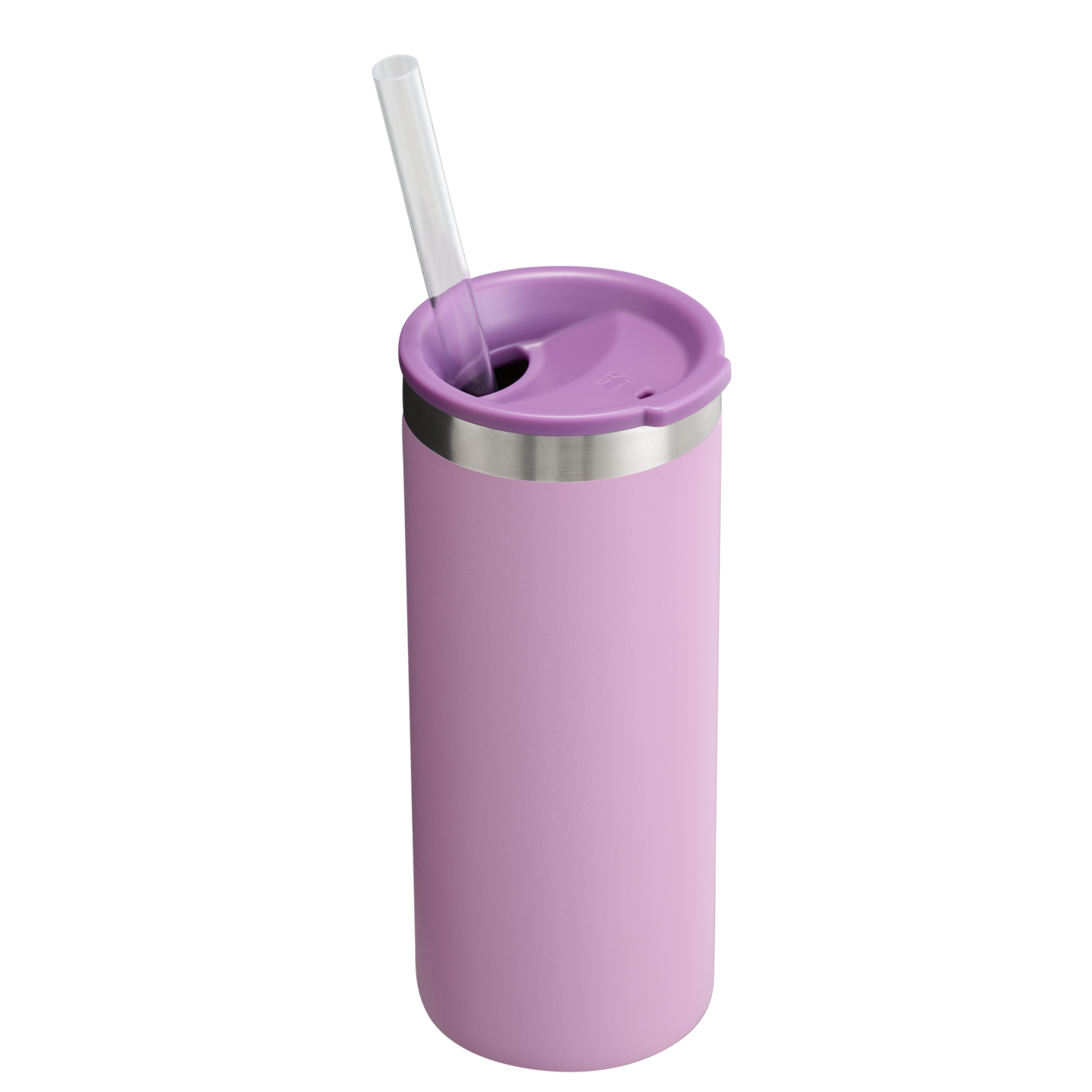 The Everyday Slim Can Cooler Cup | Stanley Create