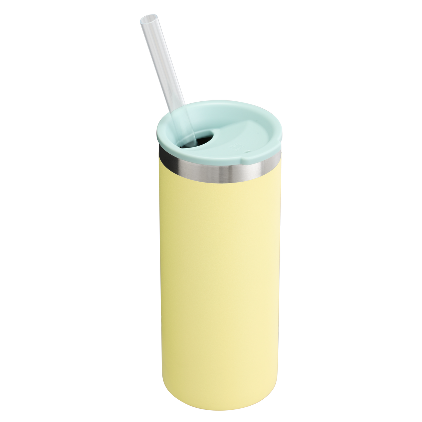 The Everyday Slim Can Cooler Cup