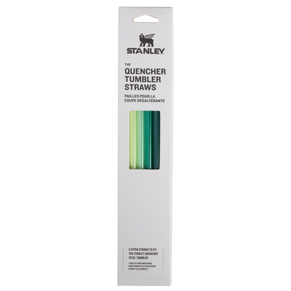 Adventure Quencher Travel Tumbler Straws | 4-Pack